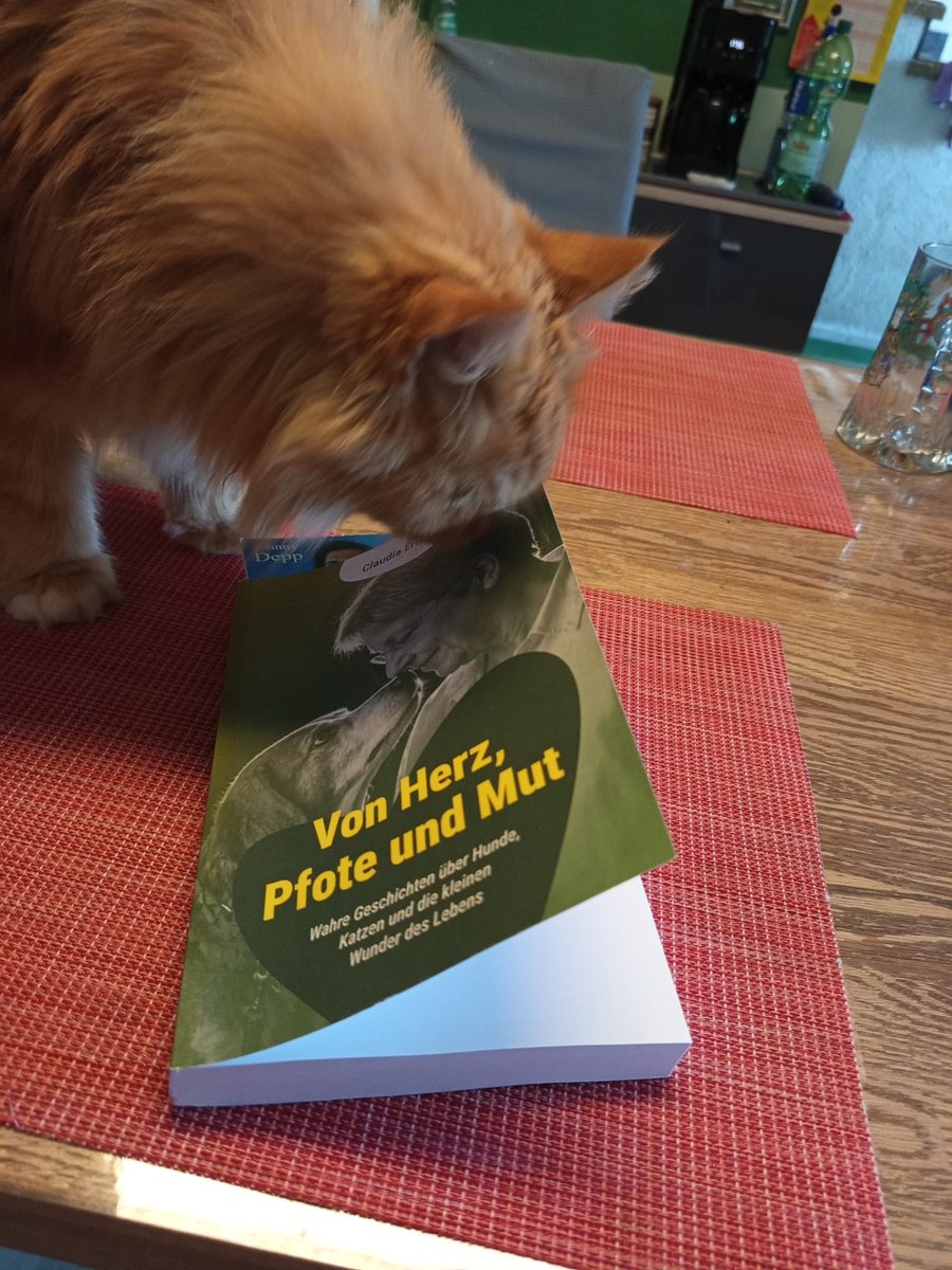 Kater Bruno beschnuppert neugierig das Buch „Von Herz, Pfote und Mut“ auf dem Tisch